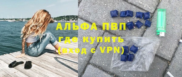 сатива Осташков