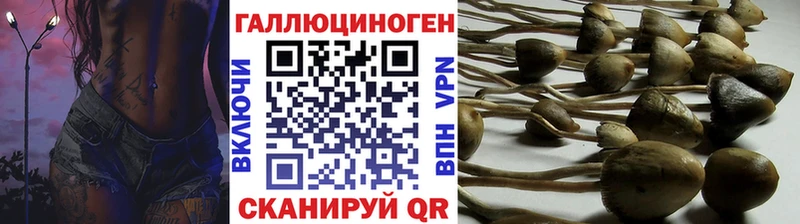 наркотики  Костерёво  Галлюциногенные грибы Magic Shrooms 