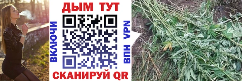 Канабис VHQ  цены   Костерёво 